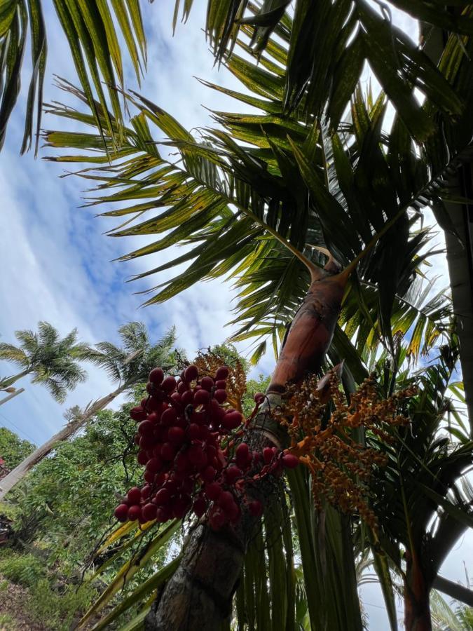 Hawaii Getaway Villa Holualoa Ngoại thất bức ảnh